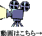 動画はこちら